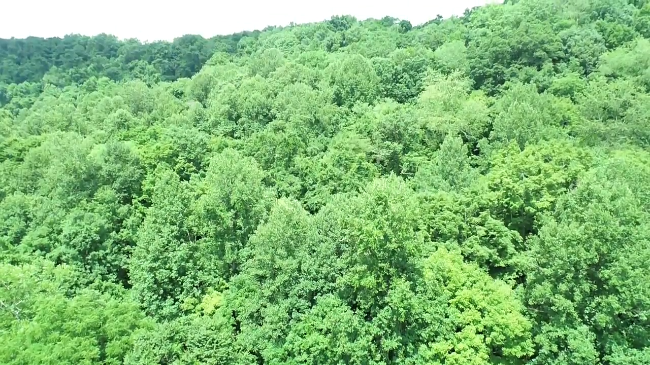 Image for SOLD $19,525 - 15 Acres Selling to the Highest Bidder