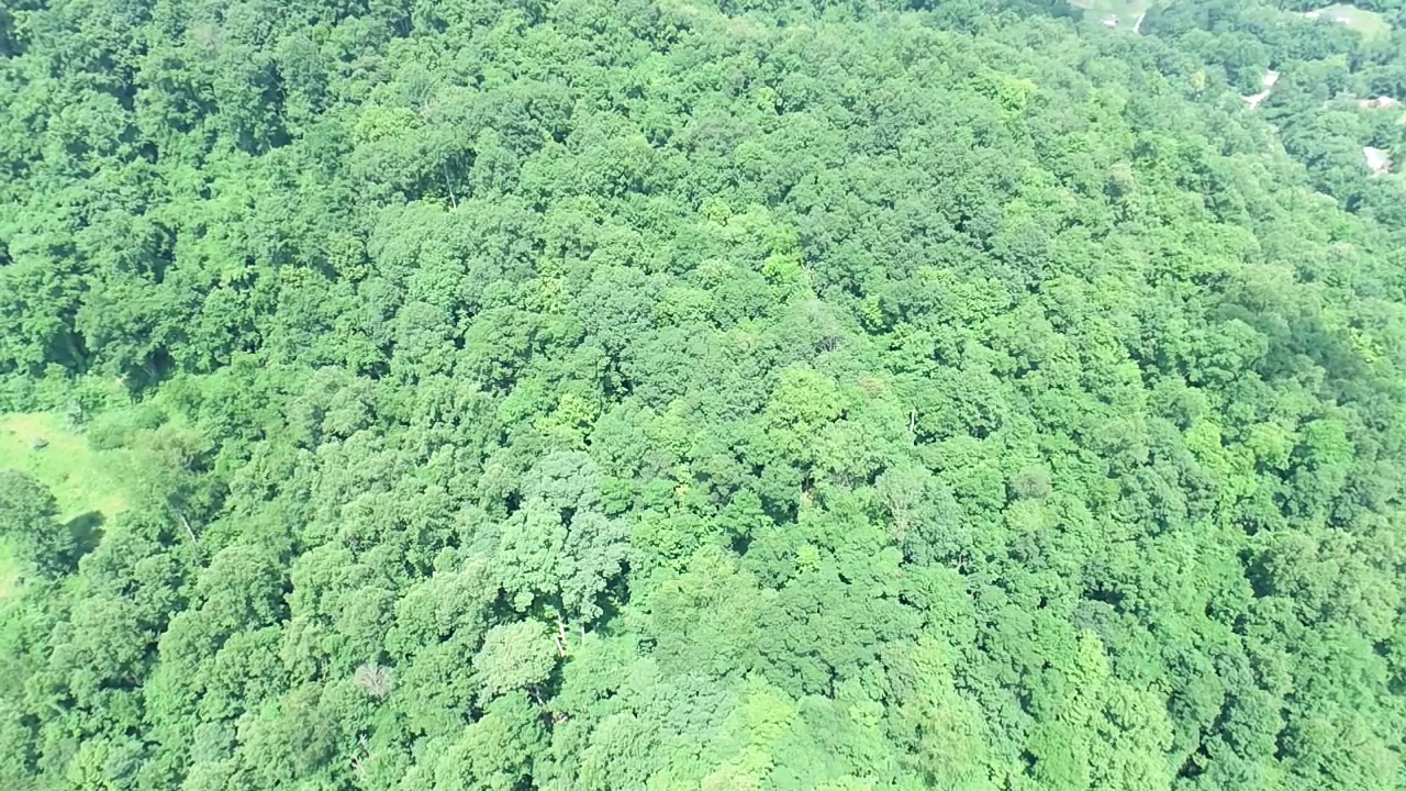 Image for SOLD $19,525 - 15 Acres Selling to the Highest Bidder