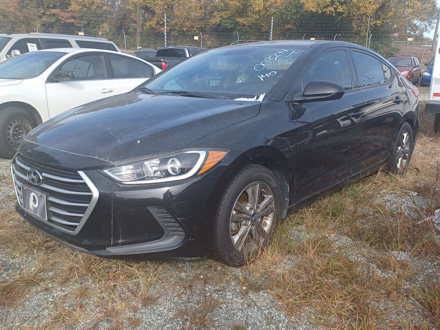 Image for November Impounds