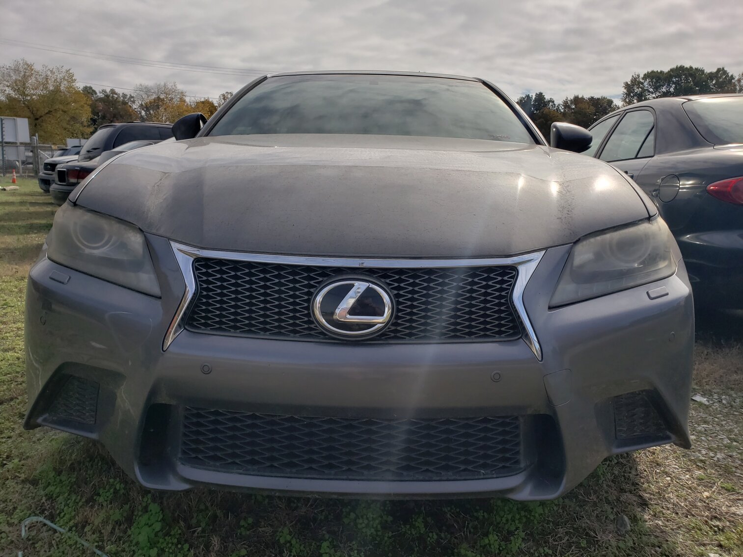 Image for November Impounds