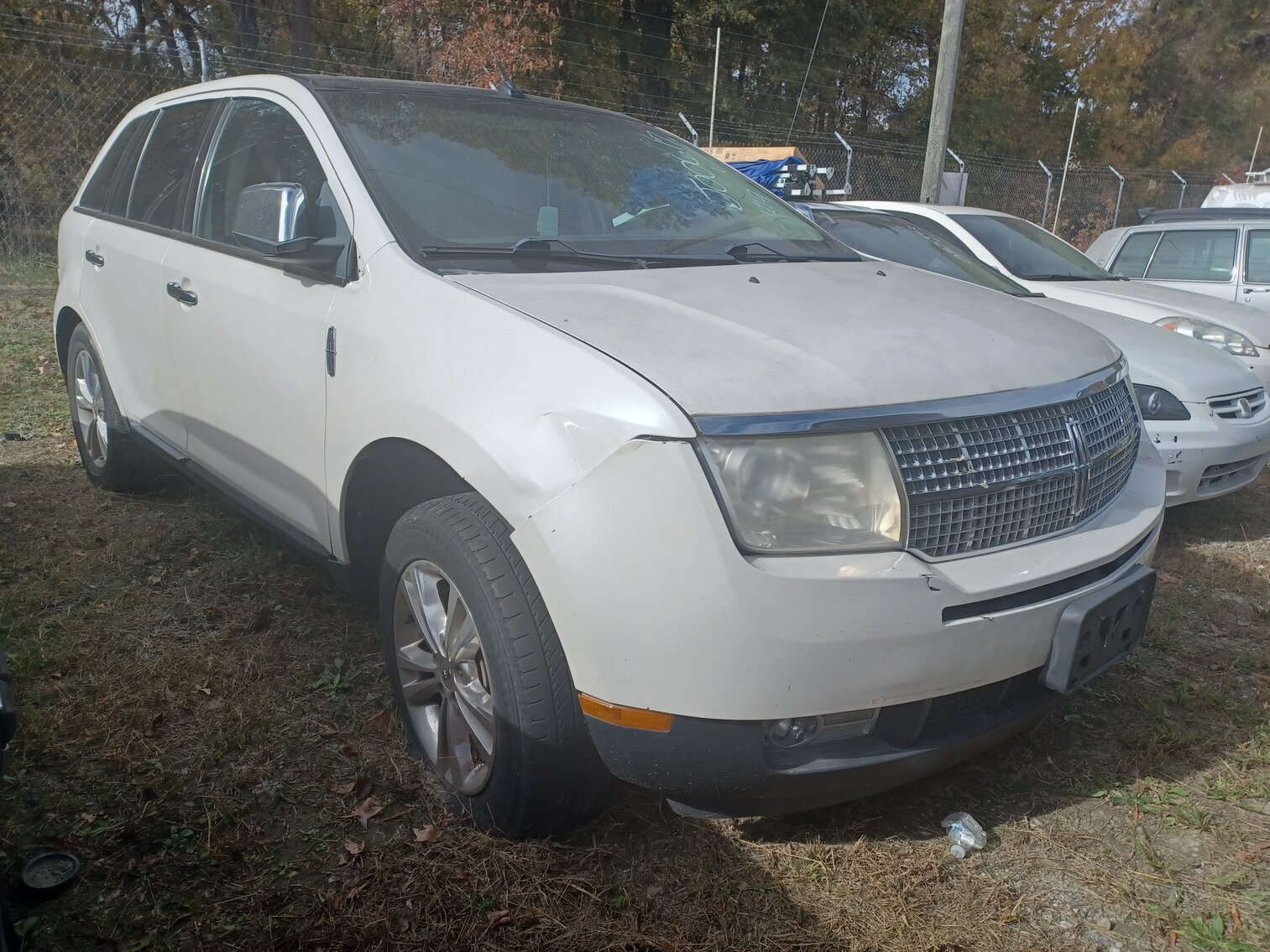 Image for November Impounds