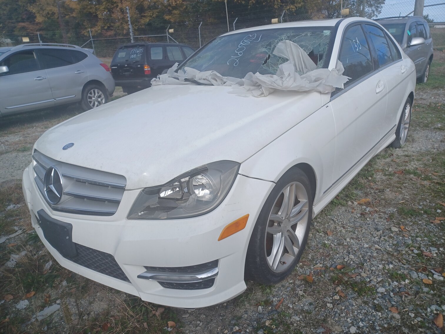 Image for November Impounds