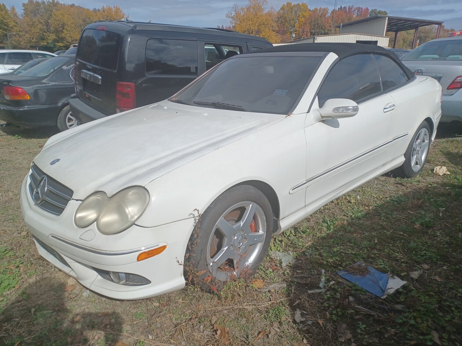 Image for November Impounds