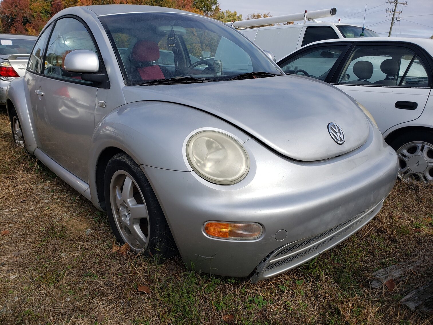 Image for November Impounds