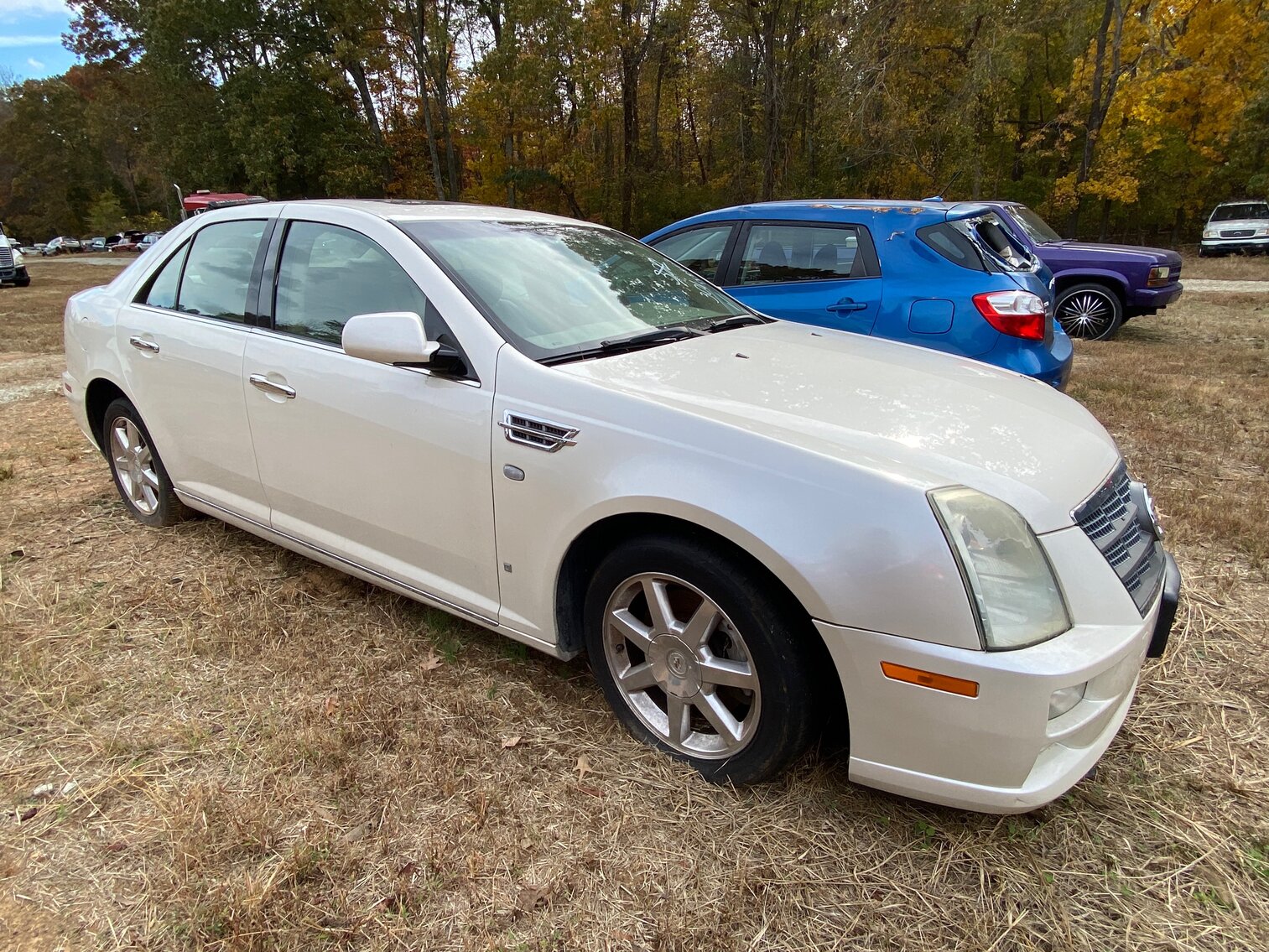 Image for November Impounds