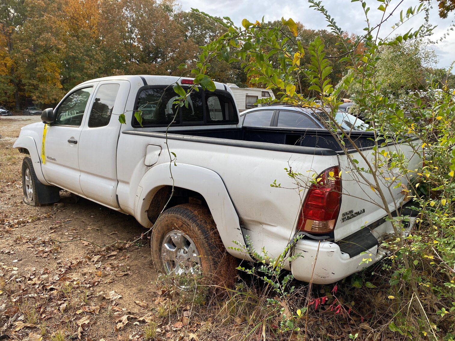 Image for November Impounds