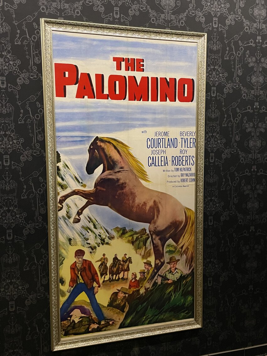 Image for Vintage Movie Posters and Business Assets from Midtown Cinema Omaha