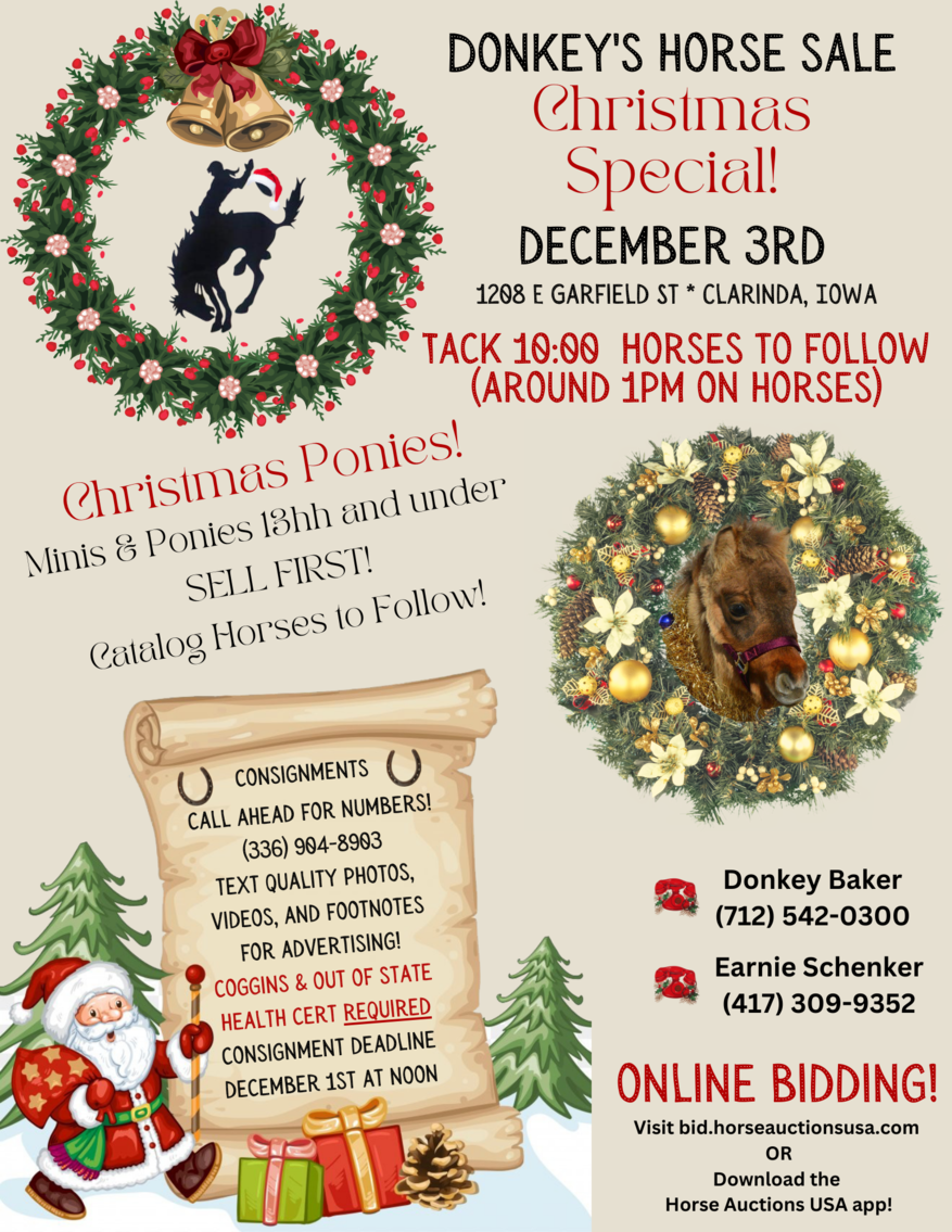 Donkey's Horse Sale Christmas Special December 3rd Clarinda, Iowa