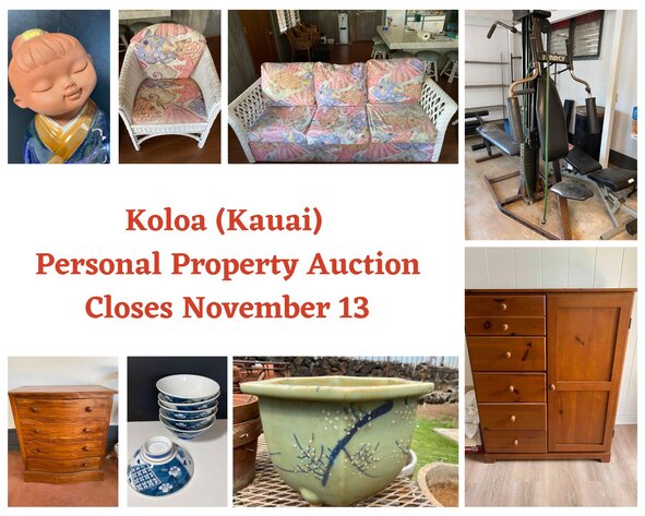 Image for 11/13 Koloa (Kauai) Personal Property Auction