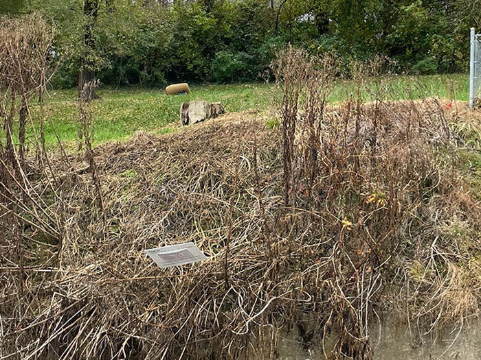 Image for FRIDAY, NOVEMBER 18th * 10:00 AM