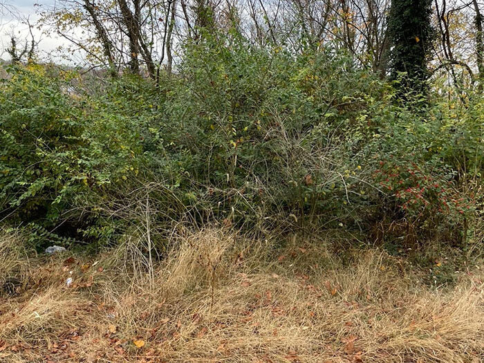 Image for FRIDAY, NOVEMBER 18th * 10:00 AM