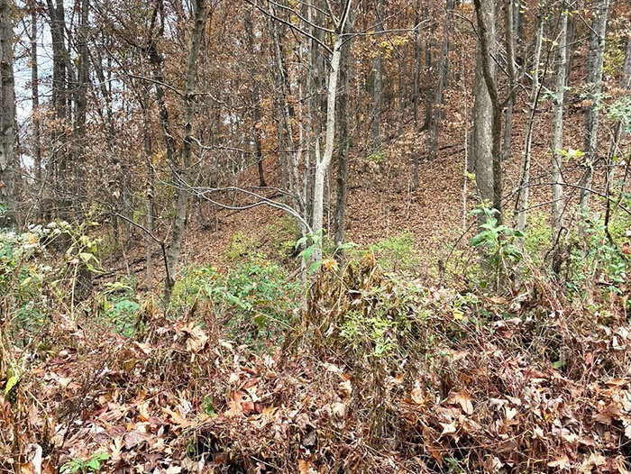 Image for FRIDAY, NOVEMBER 18th * 10:00 AM