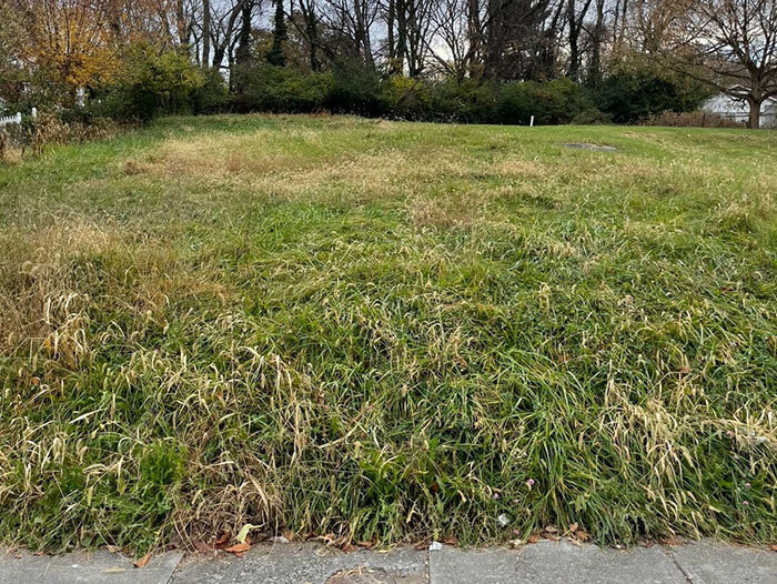 Image for FRIDAY, NOVEMBER 18th * 10:00 AM