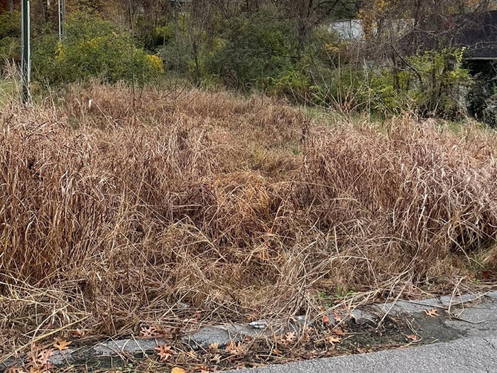 Image for FRIDAY, NOVEMBER 18th * 10:00 AM