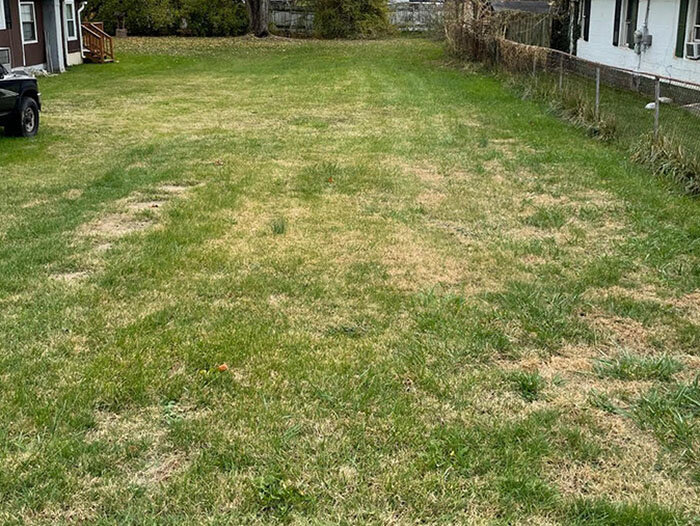 Image for FRIDAY, NOVEMBER 18th * 10:00 AM