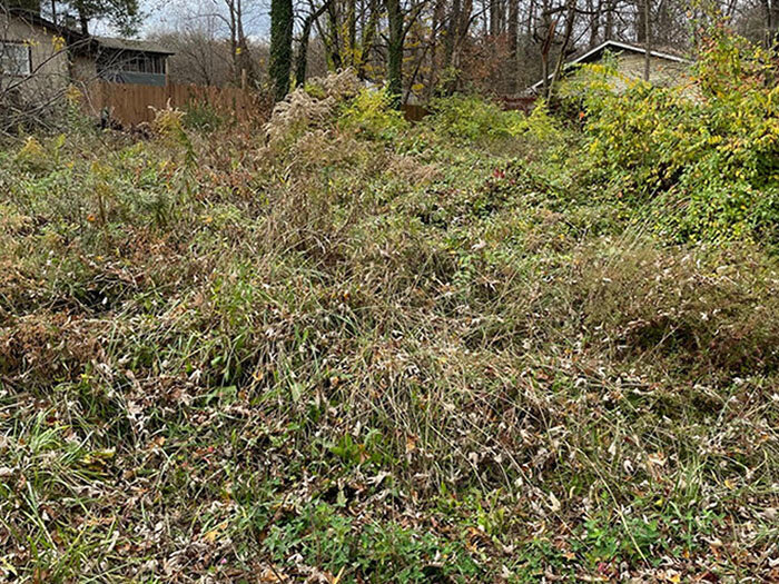 Image for FRIDAY, NOVEMBER 18th * 10:00 AM