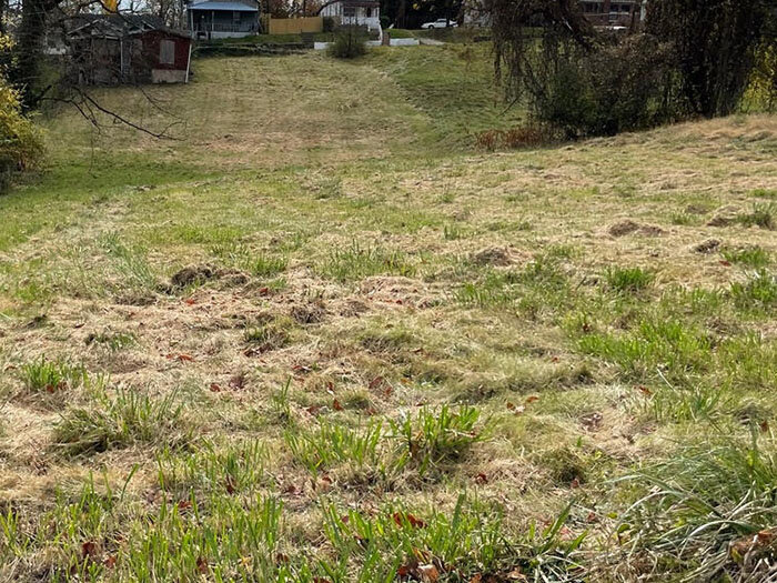 Image for FRIDAY, NOVEMBER 18th * 10:00 AM