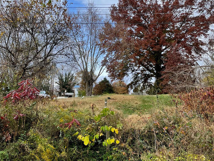 Image for FRIDAY, NOVEMBER 18th * 10:00 AM