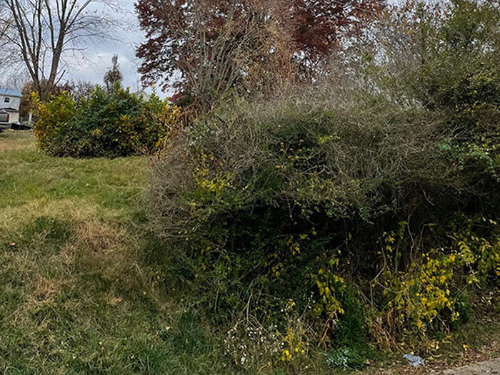 Image for FRIDAY, NOVEMBER 18th * 10:00 AM