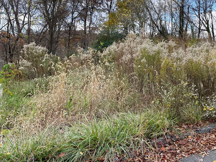 Image for FRIDAY, NOVEMBER 18th * 10:00 AM