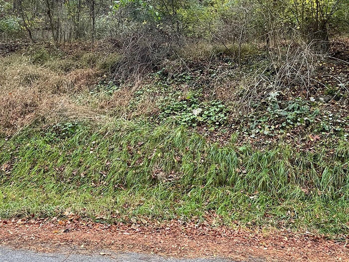 Image for FRIDAY, NOVEMBER 18th * 10:00 AM