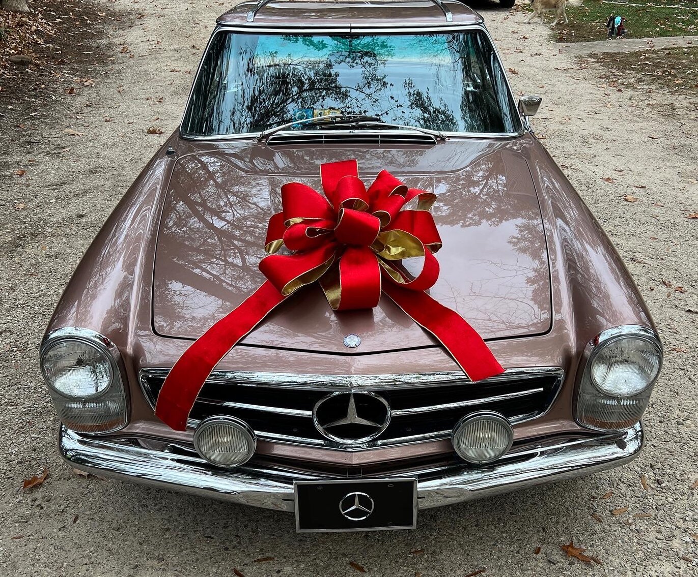 Image for Collector 1967 250SL Mercedes pagoda top and Connoisseur #14