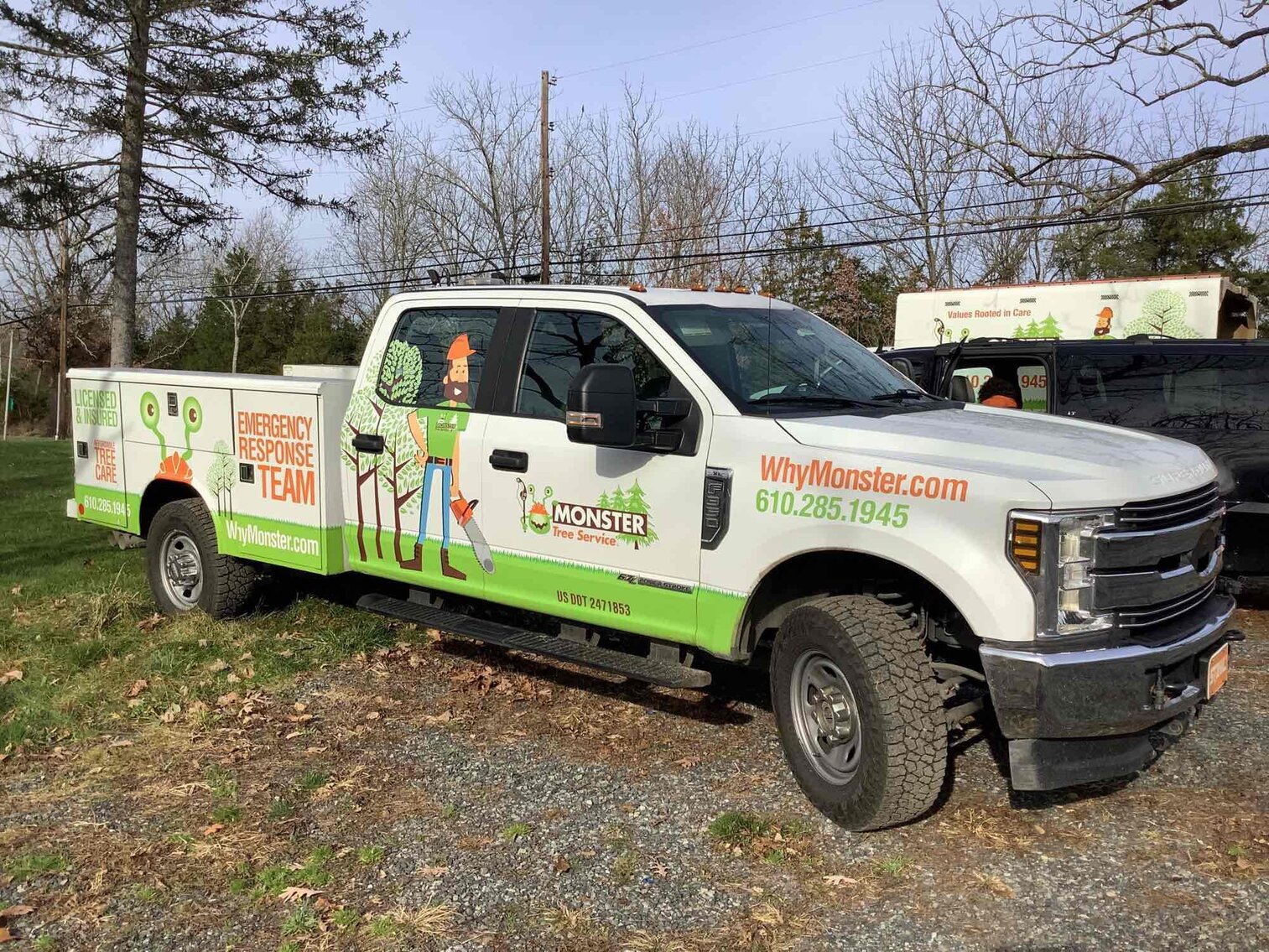 Image for Monster Tree Business Liquidation | December 7, 2022 at 2:00 PM