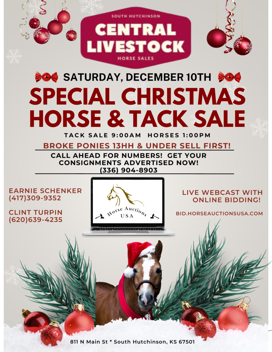 Central Livestock Horse Sale Christmas Special December 10th South Hutchinson, Kansas