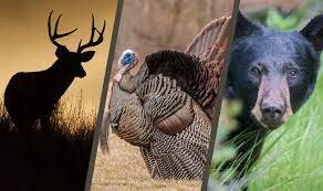 Image for Holiday Sportsman's Auction