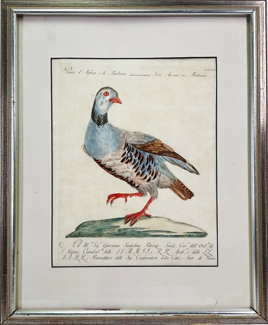 Image for Discovery Art | December 15, 2022 at 7:00 PM