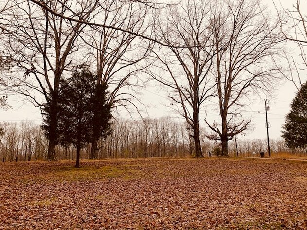 Image for Estate on Cedar Street - House & 2.9 acres