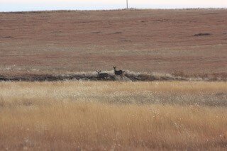 Image for LINCOLN COUNTY, CO - EXPIRED CRP