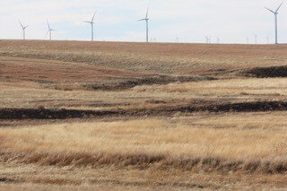 Image for LINCOLN COUNTY, CO - EXPIRED CRP