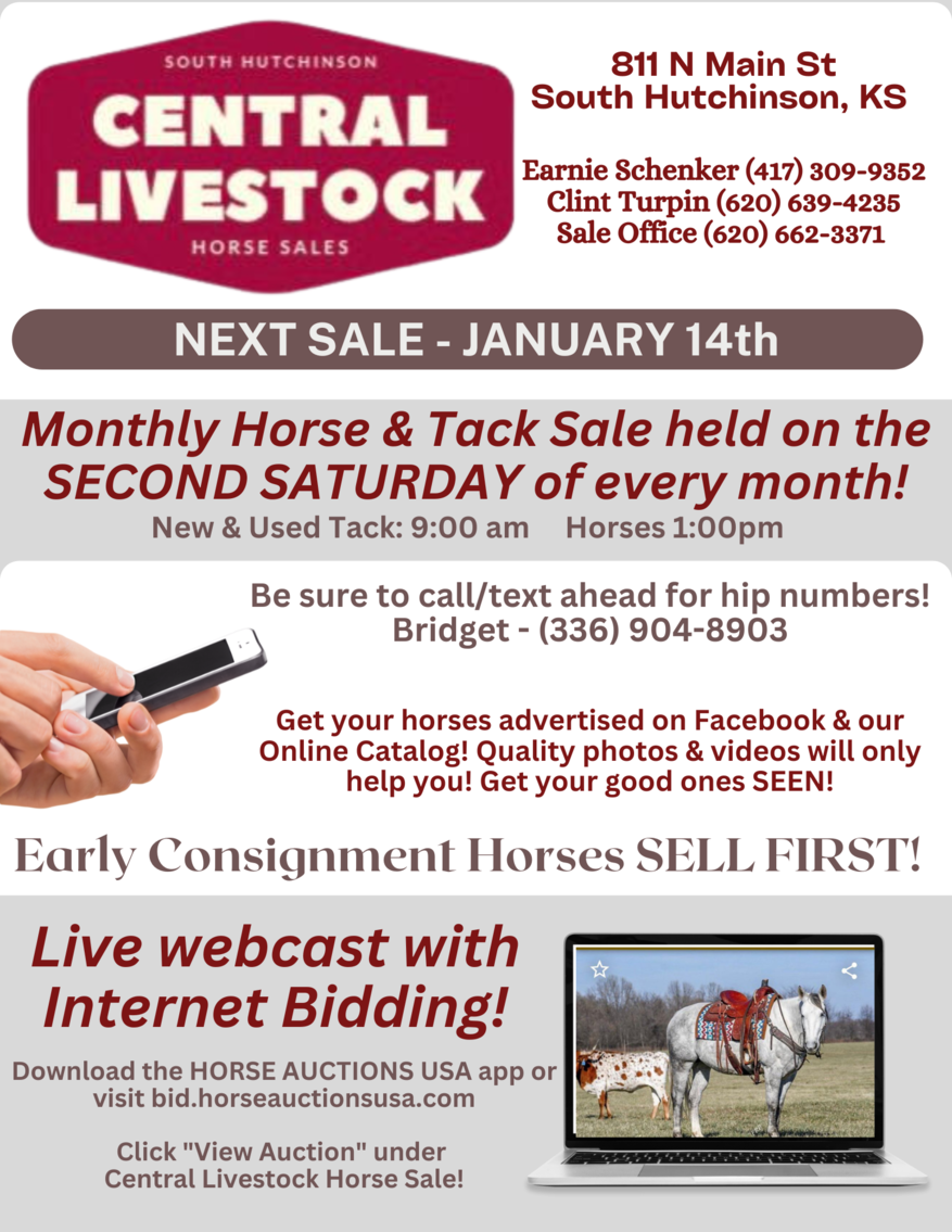 Image for Central Livestock Horse Sale - Happy New Year!  January 14th - South Hutchinson, Kansas