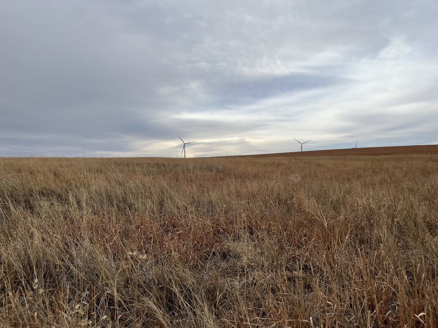 Image for LINCOLN COUNTY, CO - EXPIRED CRP