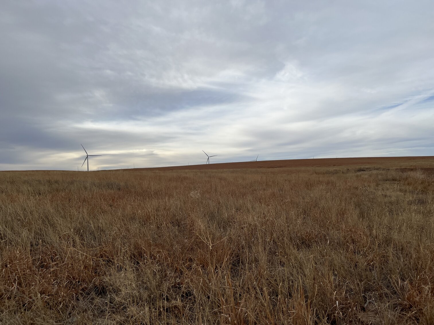 Image for LINCOLN COUNTY, CO - EXPIRED CRP