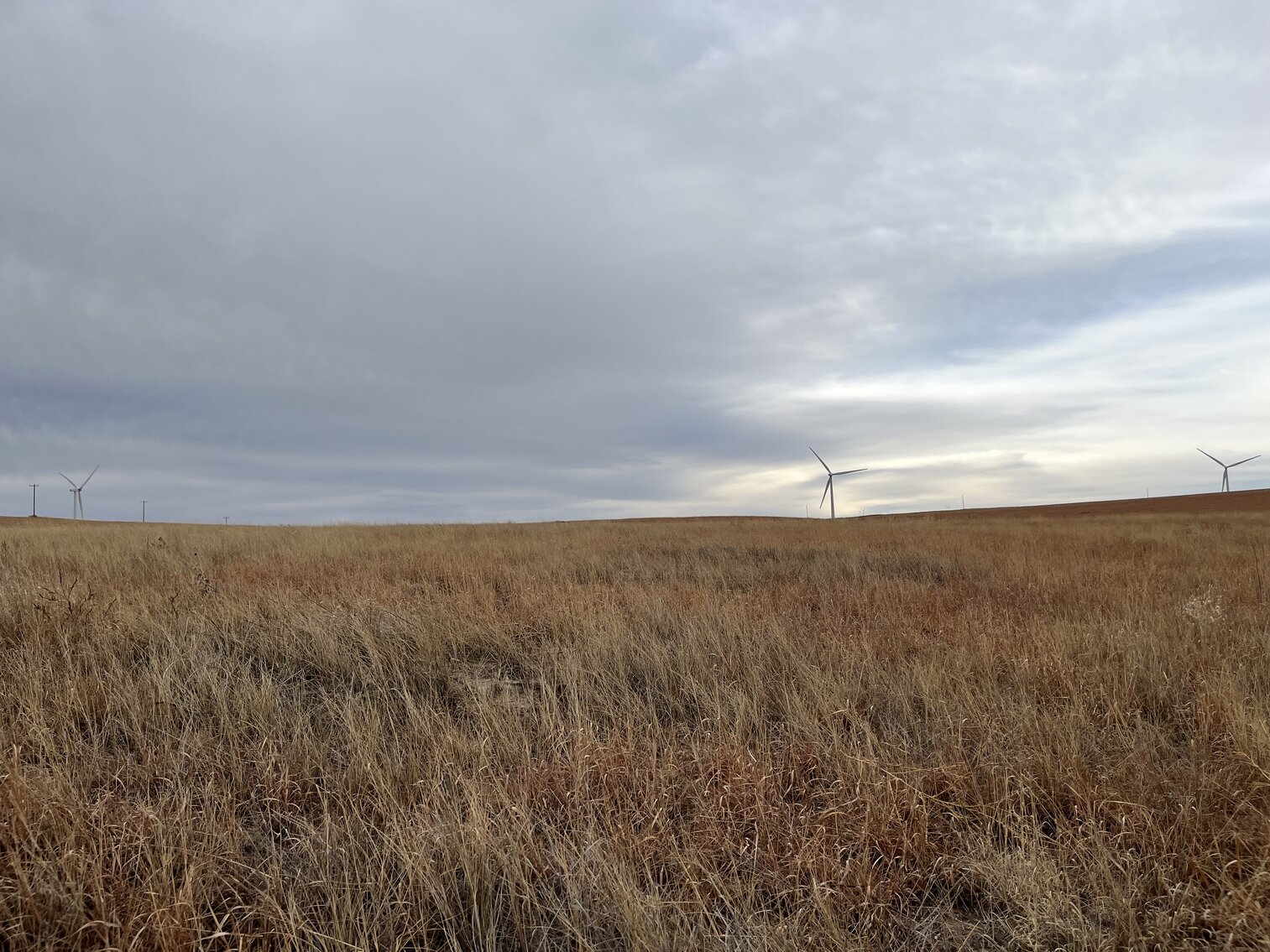 Image for LINCOLN COUNTY, CO - EXPIRED CRP