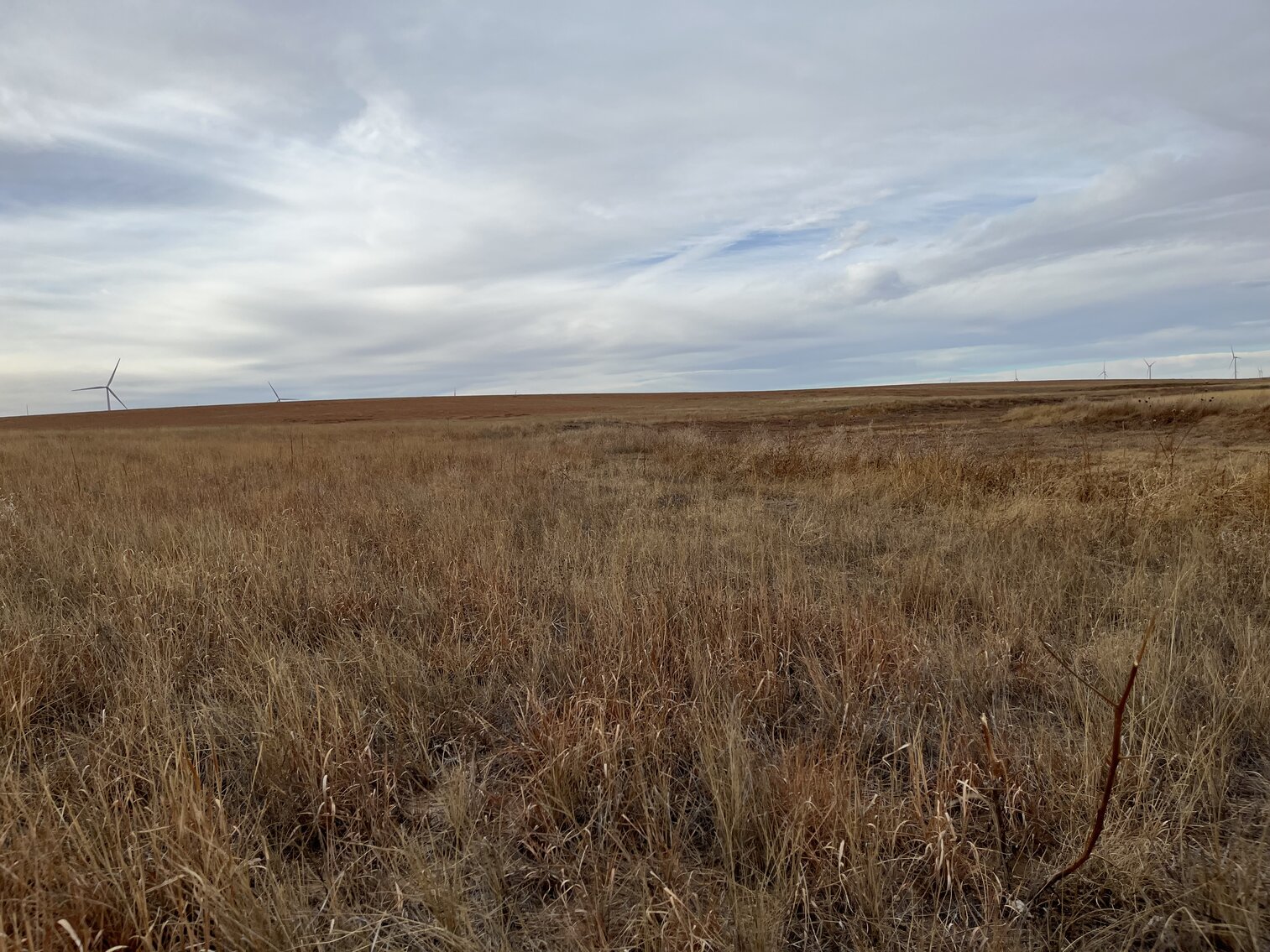 Image for LINCOLN COUNTY, CO - EXPIRED CRP