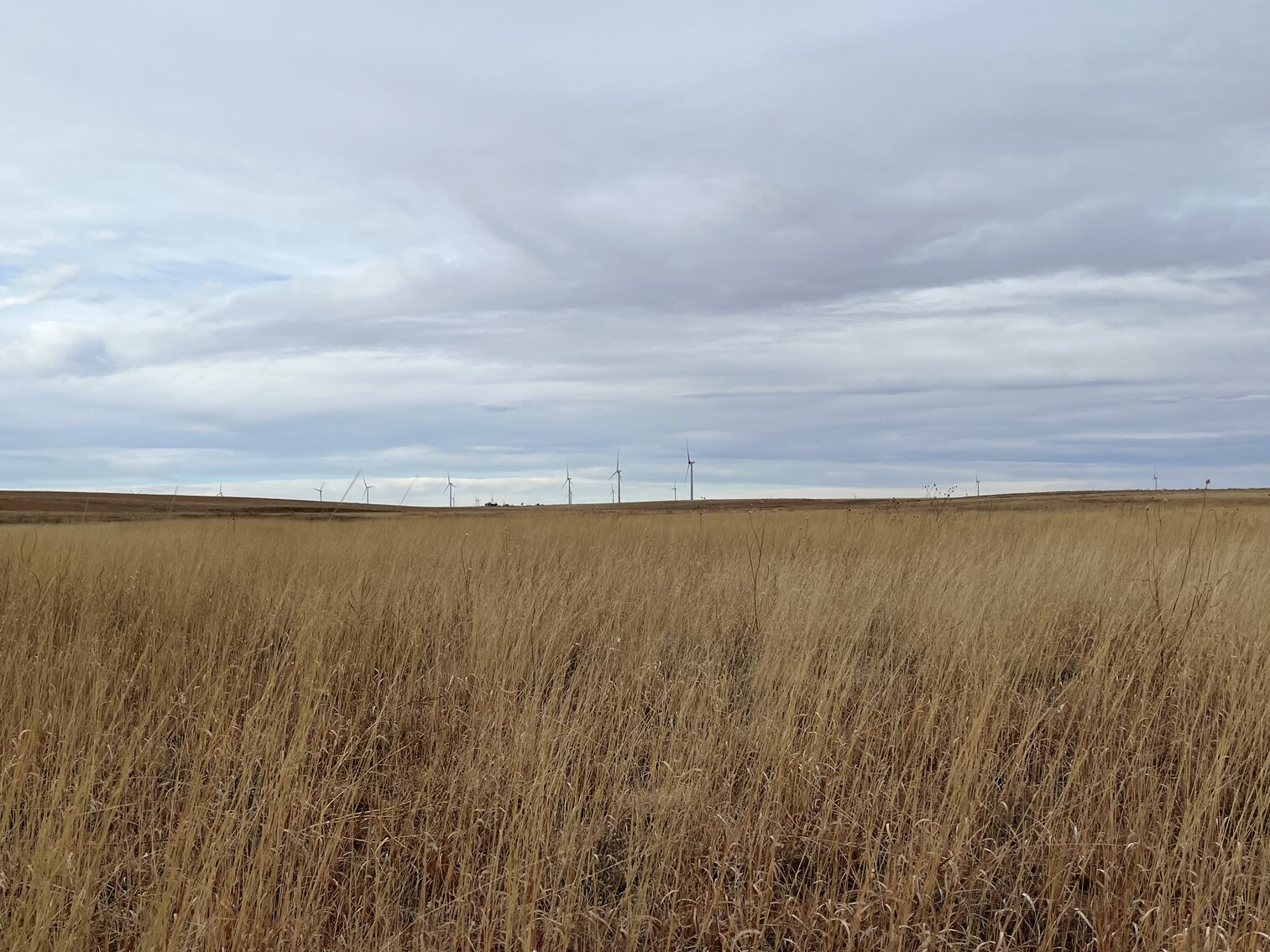 Image for LINCOLN COUNTY, CO - EXPIRED CRP
