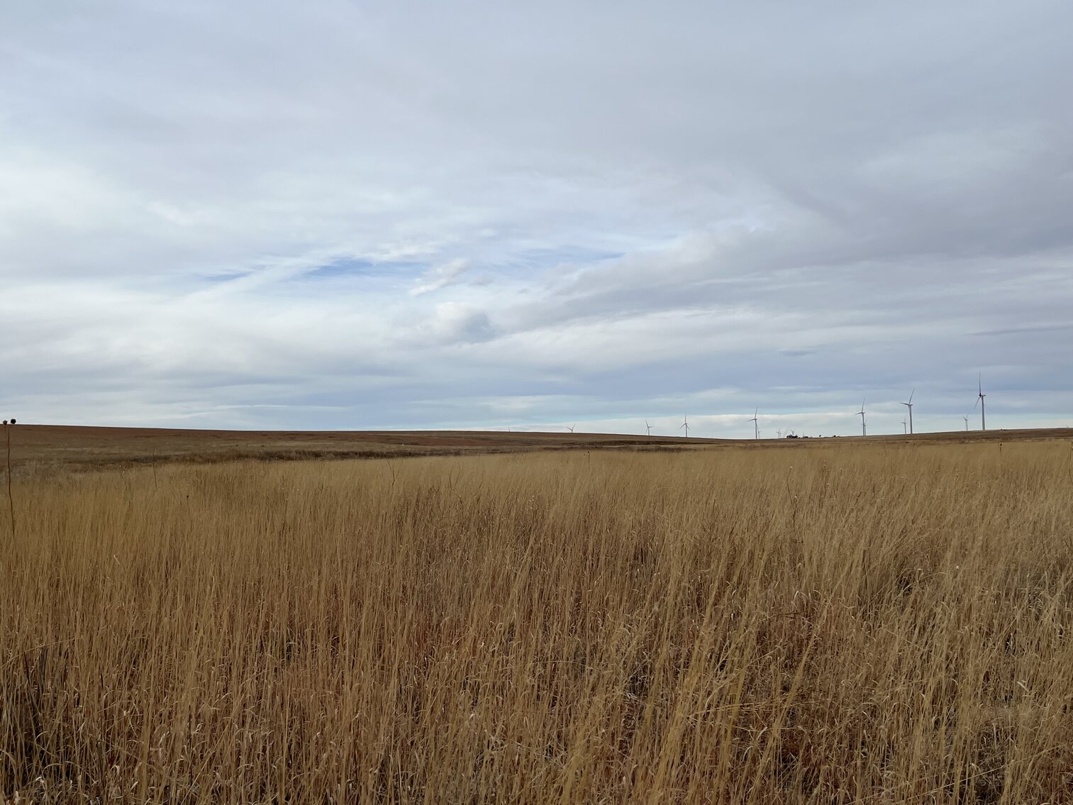 Image for LINCOLN COUNTY, CO - EXPIRED CRP