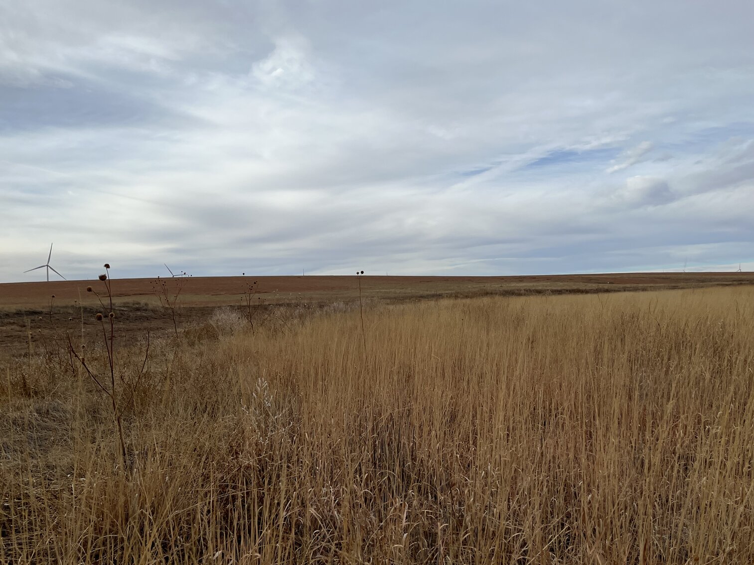 Image for LINCOLN COUNTY, CO - EXPIRED CRP