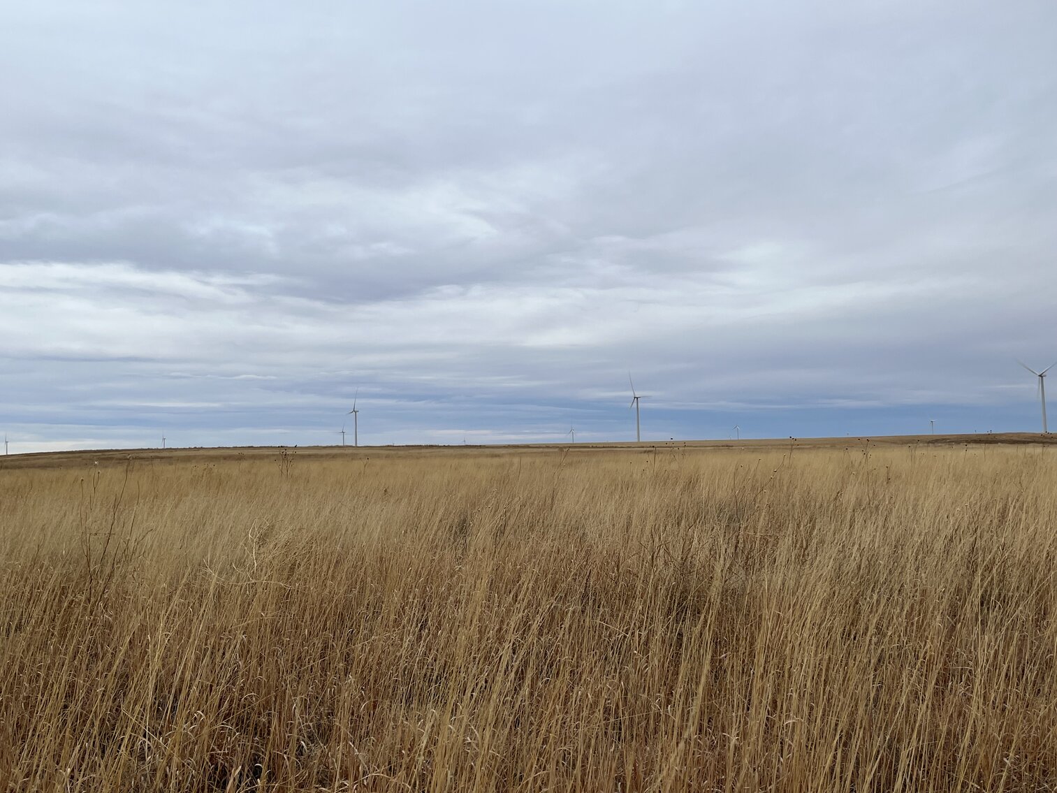Image for LINCOLN COUNTY, CO - EXPIRED CRP