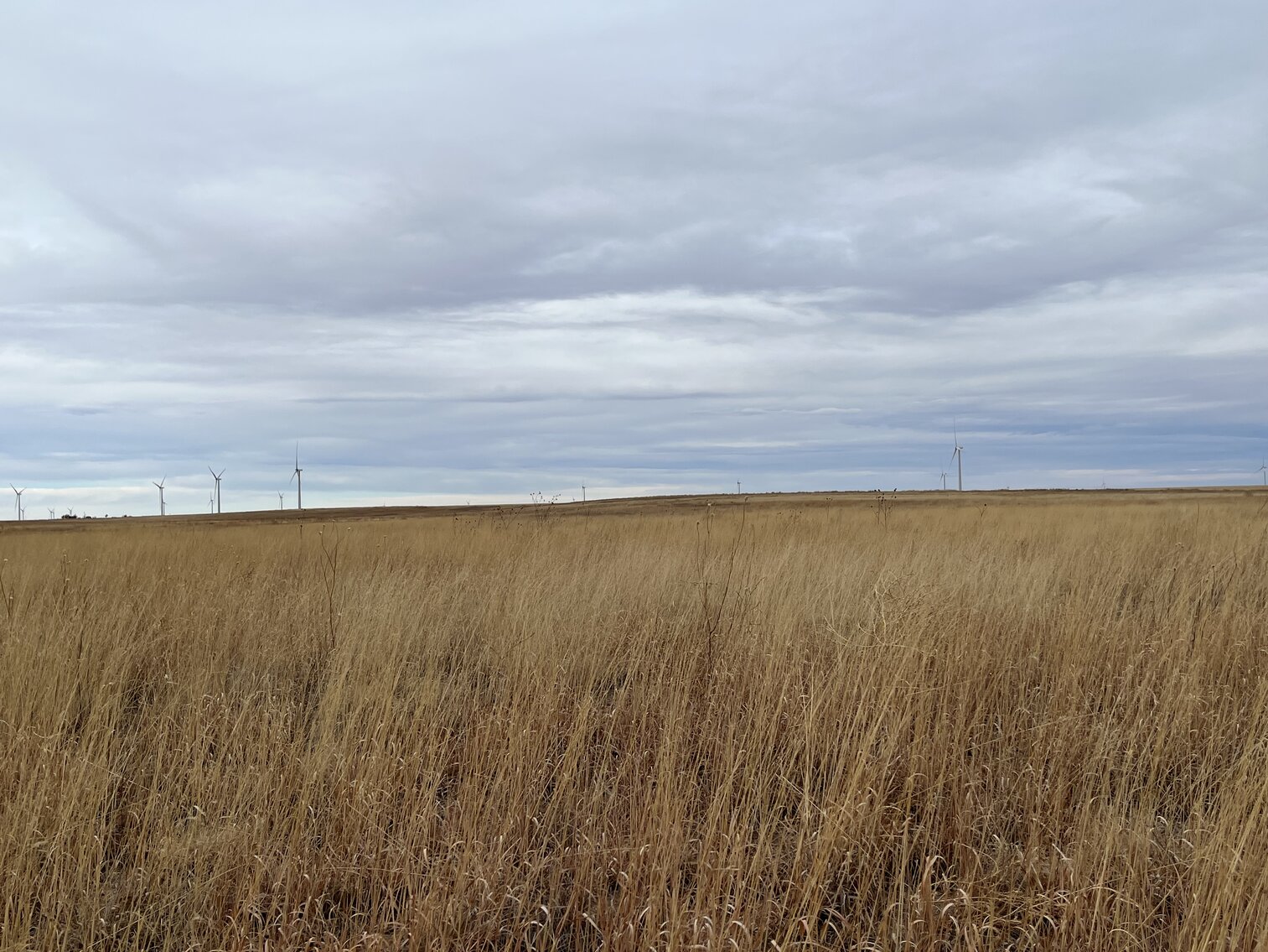 Image for LINCOLN COUNTY, CO - EXPIRED CRP