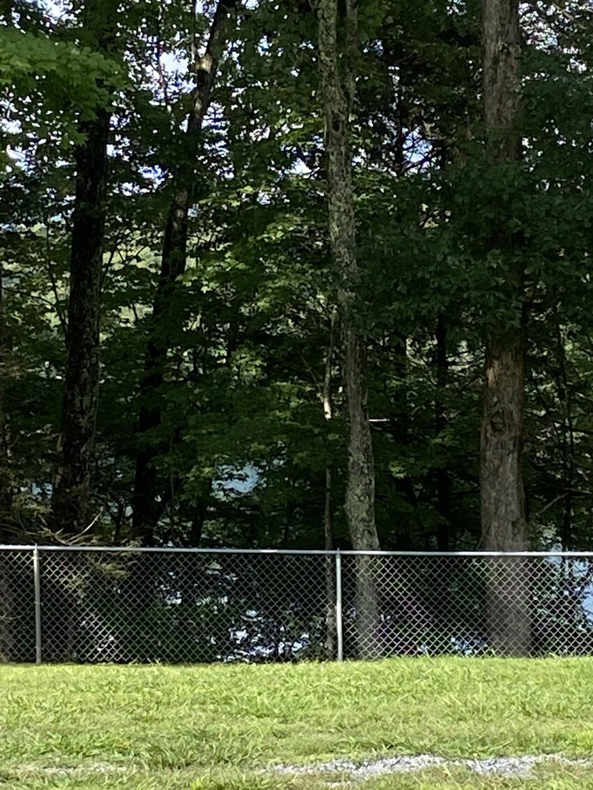 Image for SOLD $495,000 - Beautiful 3 Bedroom on 1-Acre on Summersville Lake