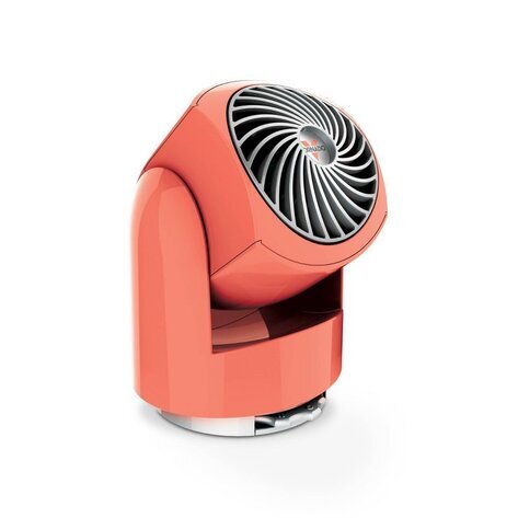 Image for Auction #31