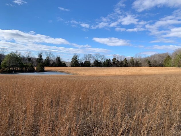 Image for 80 acre Farm on Beaverdam Creek / Offered in two tracts
