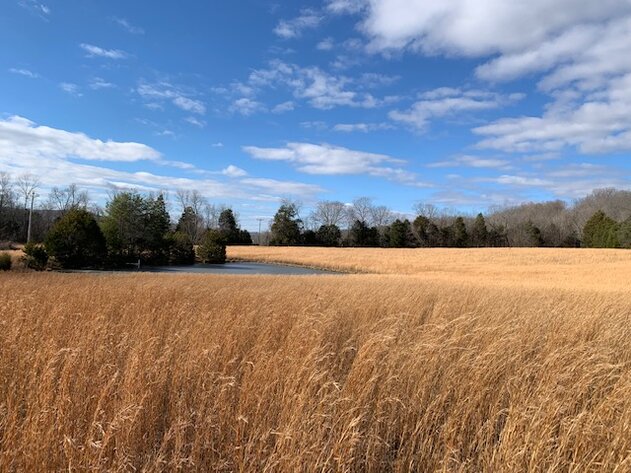Image for 80 acre Farm on Beaverdam Creek / Offered in two tracts
