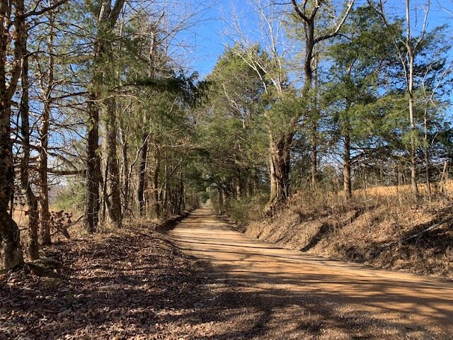 Image for 80 acre Farm on Beaverdam Creek / Offered in two tracts