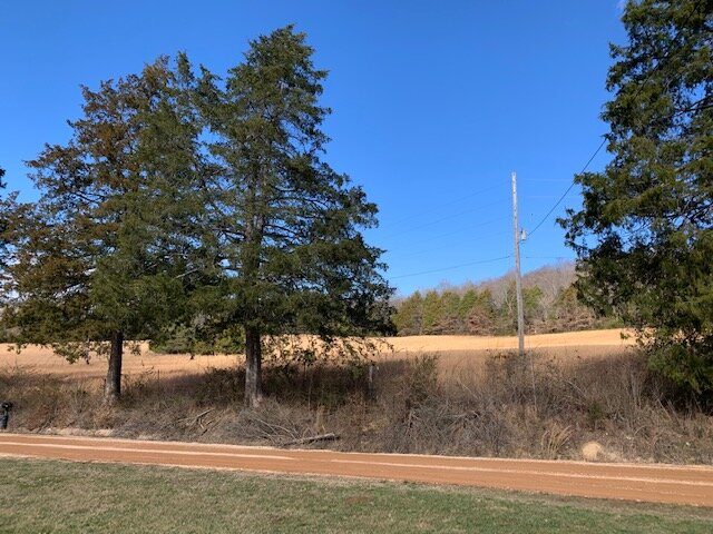 Image for 80 acre Farm on Beaverdam Creek / Offered in two tracts