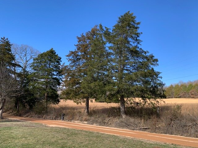 Image for 80 acre Farm on Beaverdam Creek / Offered in two tracts